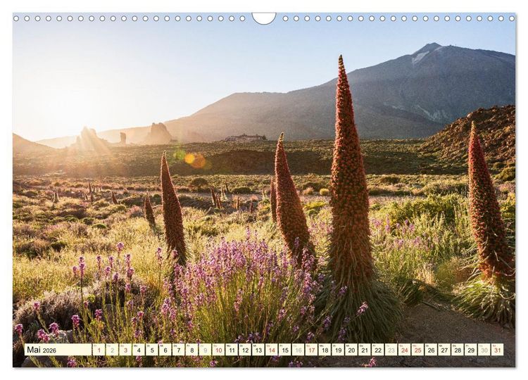 Produktbild: Teneriffa Entspannung Pur (Wandkalender 2026 DIN A3 quer), CALVENDO Monatskalender