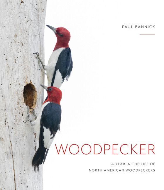 Produktbild: Woodpecker
