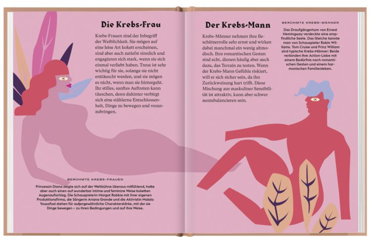 Produktbild: Krebs
