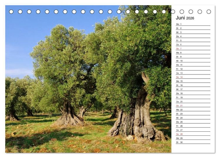 Produktbild: Apulien (Tischkalender 2026 DIN A5 quer), CALVENDO Monatskalender