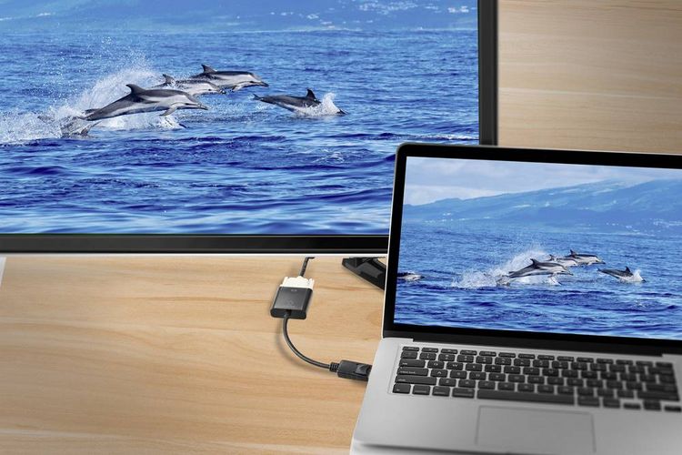 Produktbild: Renkforce RF-5771774 DisplayPort / DVI Adapter [1x DisplayPort Stecker - 1x DVI-Buchse 24+5pol.] Schwarz PVC-Mantel 15 cm
