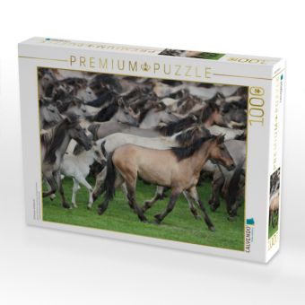 Produktbild: CALVENDO Puzzle D&uuml;lmener Wildpferde | 1000 Teile Lege-Gr&ouml;&szlig;e 64x48cm Foto-Puzzle f&uuml;r gl&uuml;ckliche Stunden