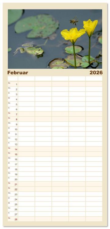 Produktbild: Familienplaner 2026 - Frosch Karl, Hans und Max im Einklang der Natur mit 5 Spalten (Wandkalender, 21 x 45 cm) CALVENDO