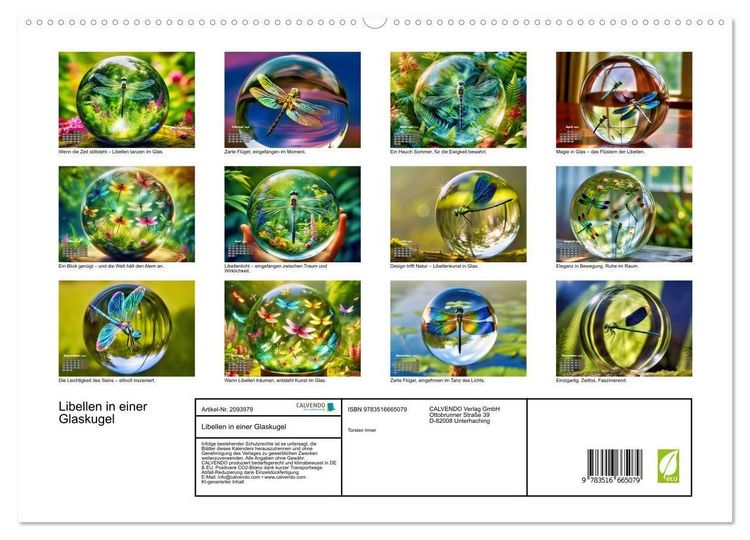 Produktbild: Libellen in einer Glaskugel (hochwertiger Premium Wandkalender 2026 DIN A2 quer), Kunstdruck in Hochglanz