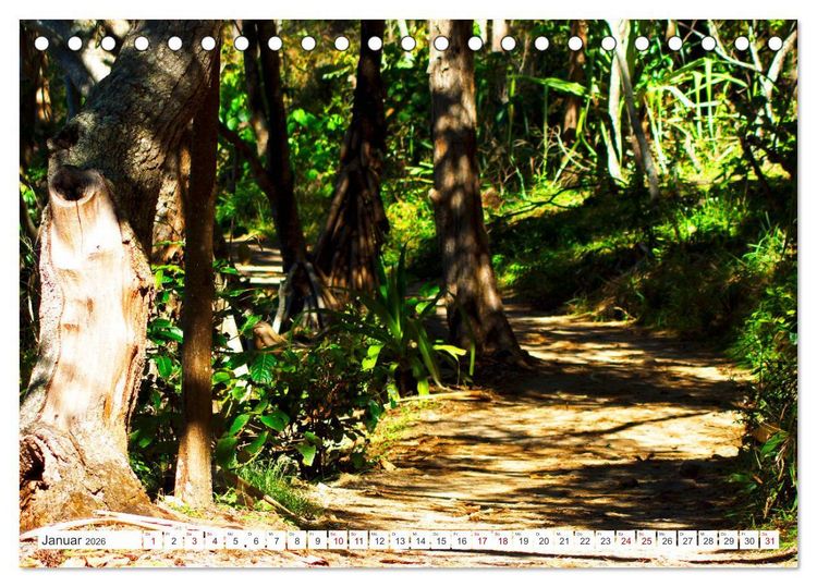 Produktbild: K&uuml;stenparadies - Noosa Nationalpark Australien (Tischkalender 2026 DIN A5 quer), CALVENDO Monatskalender