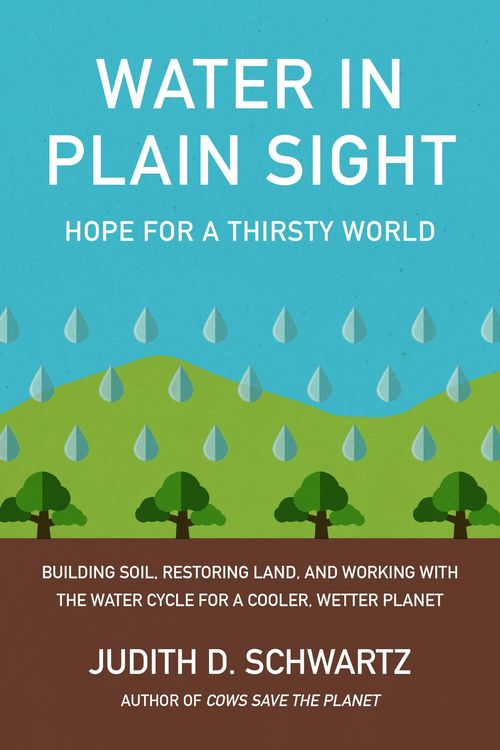Produktbild: Water in Plain Sight