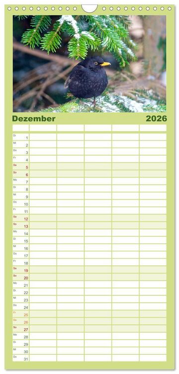 Produktbild: Familienplaner 2026 - Heimische V&ouml;gel mit 5 Spalten (Wandkalender, 21 x 45 cm) CALVENDO