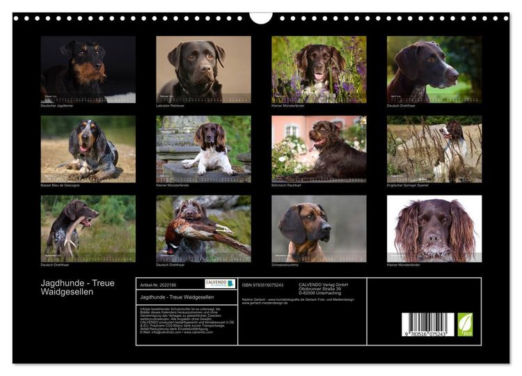 Produktbild: Jagdhunde - Treue Waidgesellen (Wandkalender 2026 DIN A3 quer), CALVENDO Monatskalender
