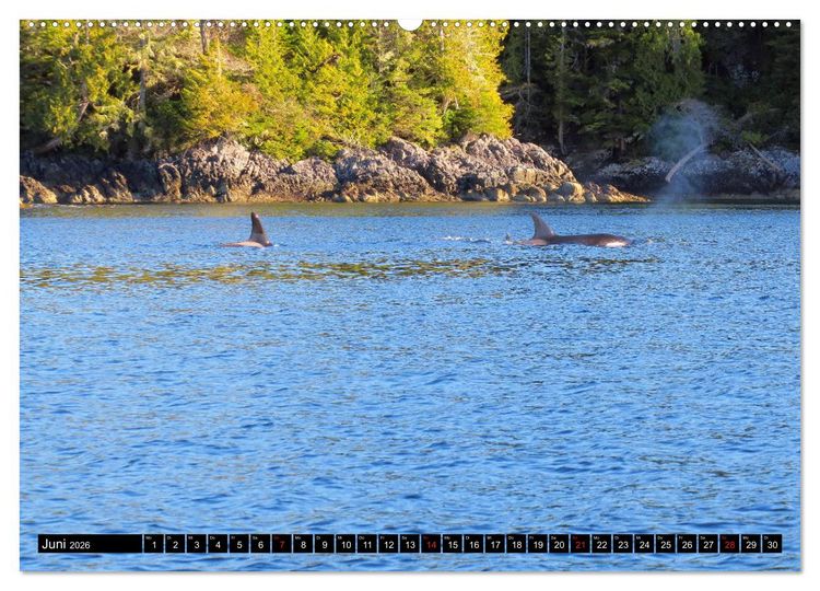 Produktbild: Vancouver - Vancouver Island - Seattle (Wandkalender 2026 DIN A2 quer), CALVENDO Monatskalender