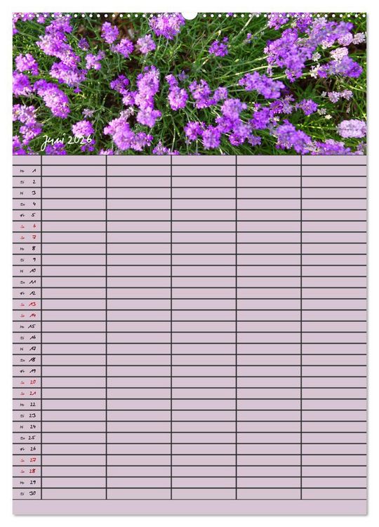 Produktbild: Naturzauber Lavendel - Familienplaner (Wandkalender 2026 DIN A2 hoch), CALVENDO Monatskalender