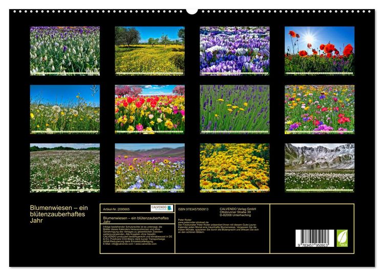Produktbild: Blumenwiesen &ndash; ein bl&uuml;tenzauberhaftes Jahr (hochwertiger Premium Wandkalender 2026 DIN A2 quer), Kunstdruck in Hochglanz