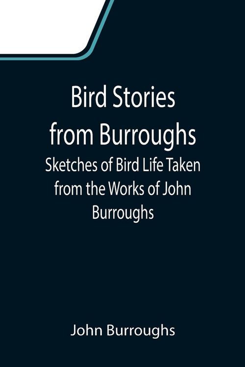 Produktbild: Bird Stories from Burroughs; Sketches of Bird Life Taken from the Works of John Burroughs
