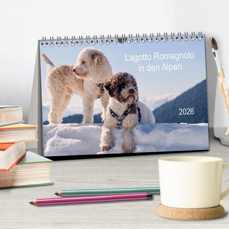 Produktbild: Lagotto Romagnolo in den Alpen 2026 (Tischkalender 2026 DIN A5 quer), CALVENDO Monatskalender