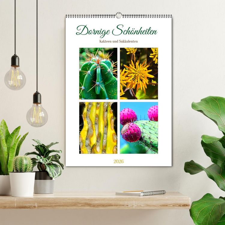 Produktbild: Dornige Sch&ouml;nheiten - Kakteen und Sukkulenten (Wandkalender 2026 DIN A2 hoch), CALVENDO Monatskalender