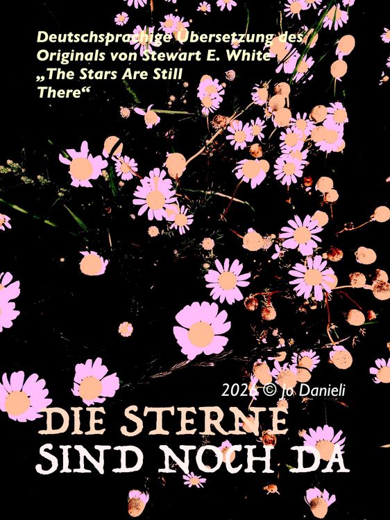 Produktbild: Die Sterne sind noch da