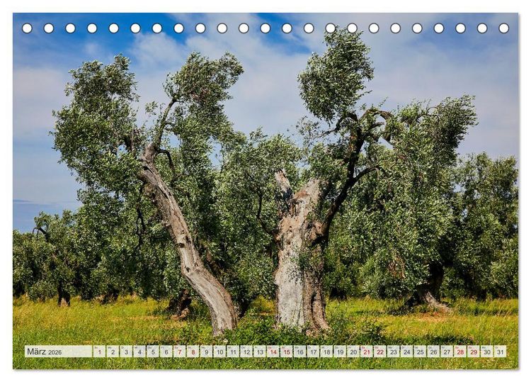 Produktbild: Apulien (Tischkalender 2026 DIN A5 quer), CALVENDO Monatskalender