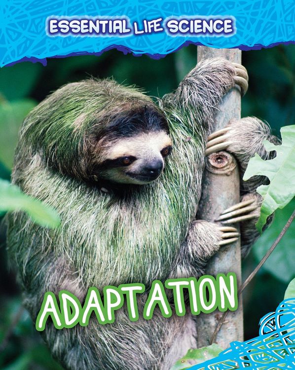 Produktbild: Adaptation