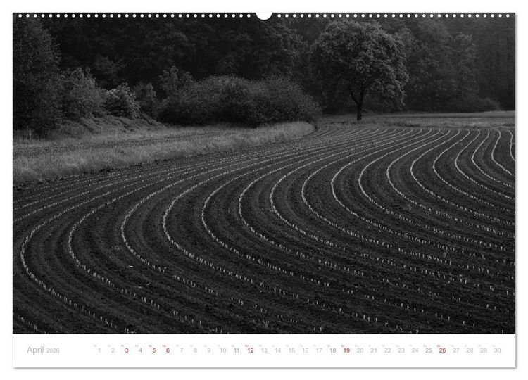 Produktbild: Mystischer Schwarzwald (hochwertiger Premium Wandkalender 2026 DIN A2 quer), Kunstdruck in Hochglanz
