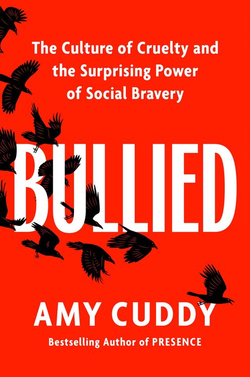 Produktbild: Bullied