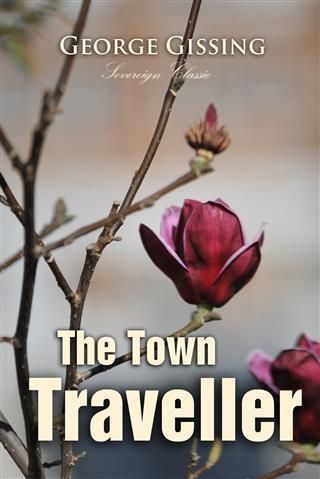 Produktbild: Town Traveller