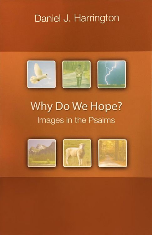 Produktbild: Why Do We Hope?