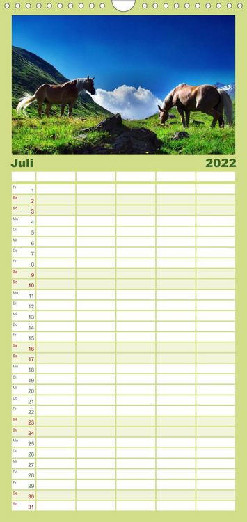 Produktbild: Familienplaner Faszination Pferde (Wandkalender 2022 , 21 cm x 45 cm, hoch)