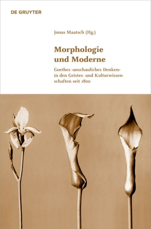 Produktbild: Morphologie und Moderne