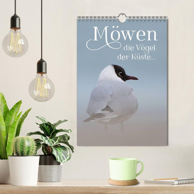 Produktbild: M&ouml;wen - die V&ouml;gel der K&uuml;ste (Wandkalender 2026 DIN A4 hoch), CALVENDO Monatskalender