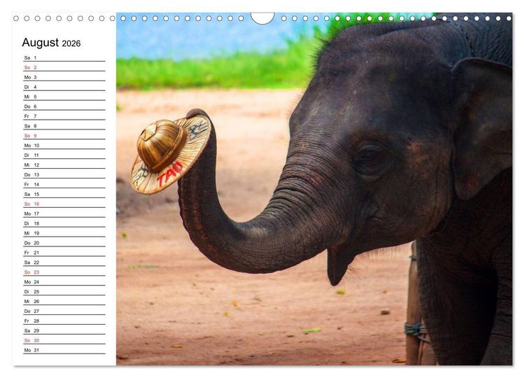Produktbild: Elefanten - Wasserspa&szlig; am Strand (Wandkalender 2026 DIN A3 quer), CALVENDO Monatskalender