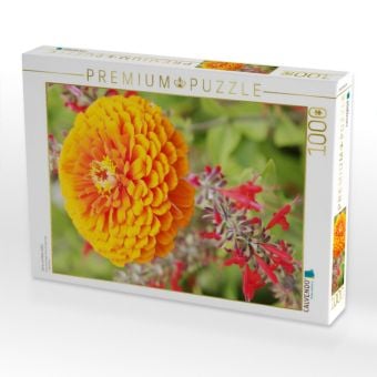 Produktbild: CALVENDO Puzzle Zinnie und Roter Salbei | 1000 Teile Lege-Gr&ouml;&szlig;e 64x48cm Foto-Puzzle f&uuml;r gl&uuml;ckliche Stunden