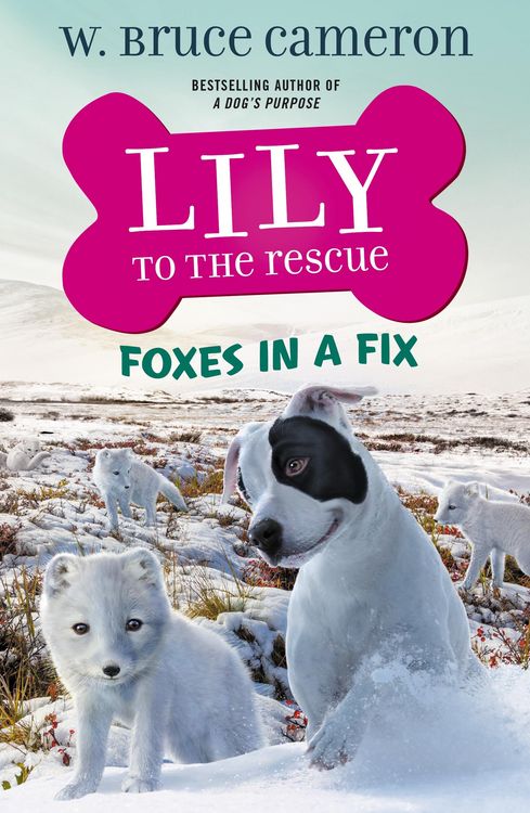 Produktbild: Lily to the Rescue: Foxes in a Fix