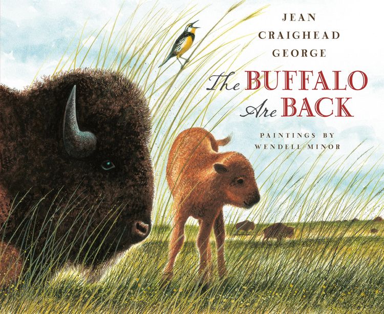 Produktbild: The Buffalo Are Back