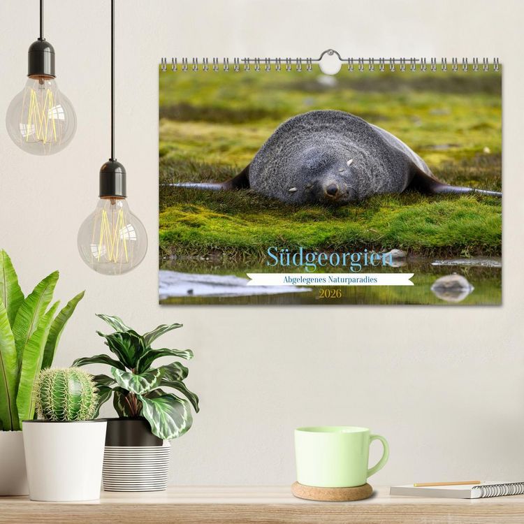 Produktbild: S&uuml;dgeorgien - Abgelegenes Naturparadies (Wandkalender 2026 DIN A4 quer), CALVENDO Monatskalender