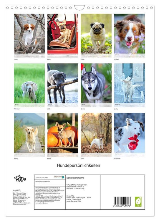 Produktbild: Hundepers&ouml;nlichkeiten (Wandkalender 2026 DIN A3 hoch), CALVENDO Monatskalender