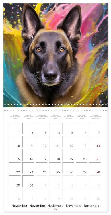 Produktbild: Colourful Splash Dogs (Wall Calendar 2027 12 &times; 12 Inch) CALVENDO 12 Month Wall Calendar