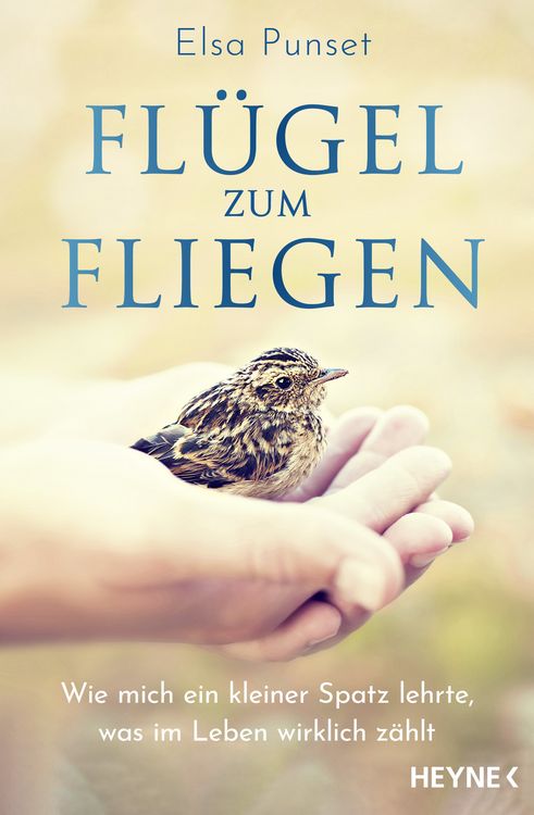 Produktbild: Fl&uuml;gel zum Fliegen