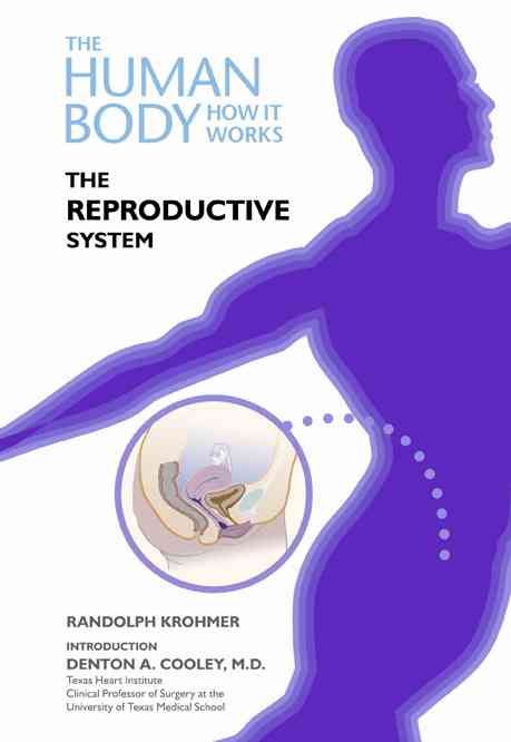 Produktbild: Krohmer, R: The Reproductive System