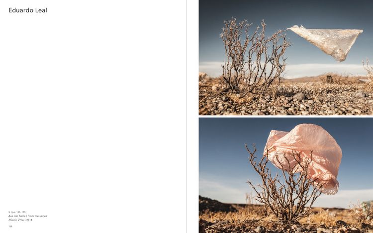 Produktbild: Wenn der Wind weht / When the Wind Blows