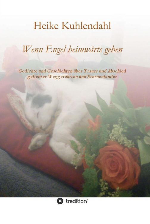 Produktbild: Wenn Engel heimw&auml;rts gehen