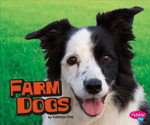 Produktbild: Farm Dogs