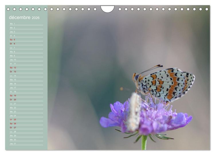 Produktbild: Merveilleux papillons (Calendrier mural 2026 DIN A4 vertical), CALVENDO calendrier mensuel