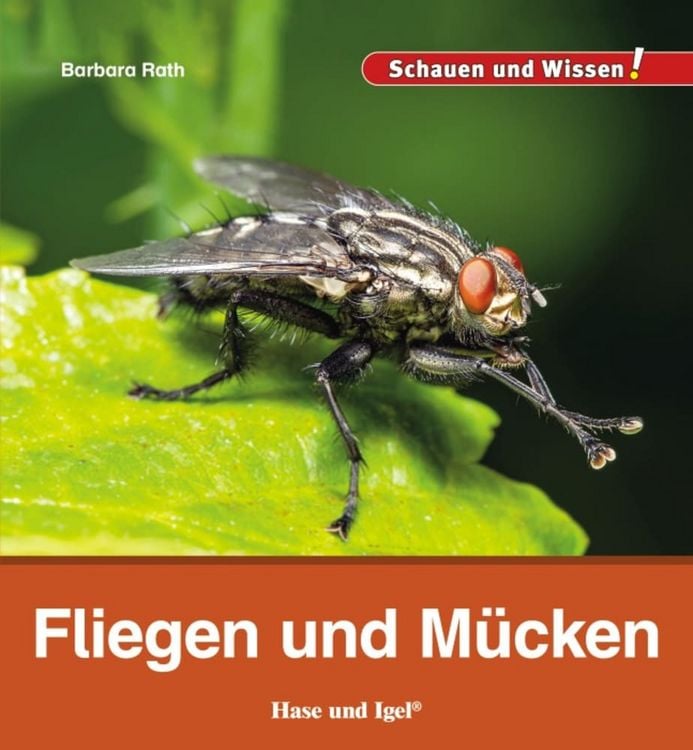 Produktbild: Fliegen und M&uuml;cken