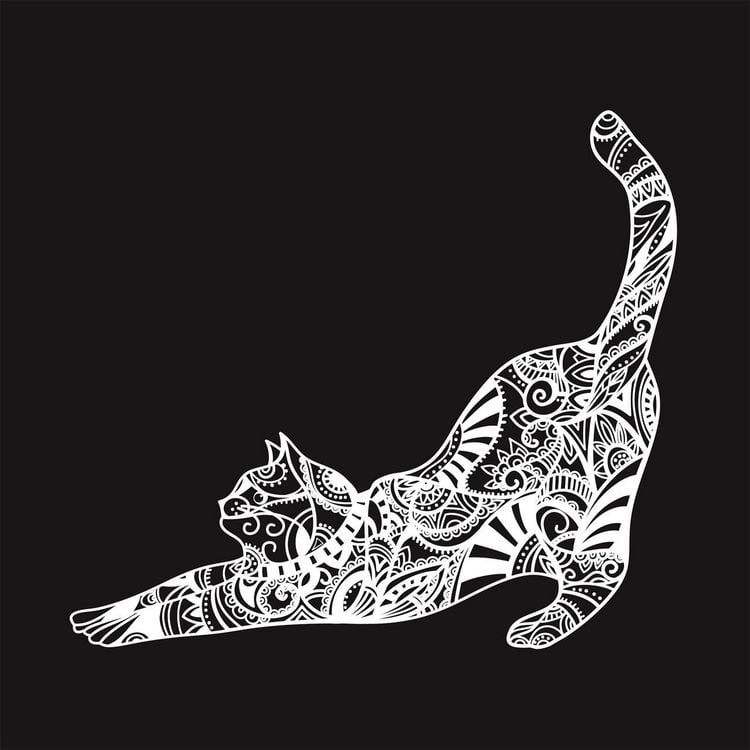 Produktbild: Black Premium. Katzen