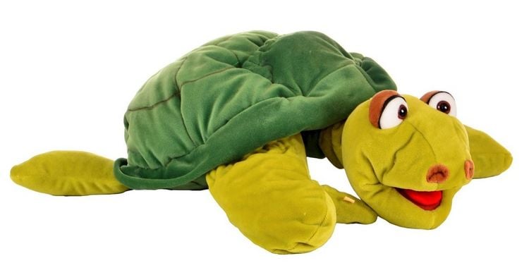 Produktbild: Aristoteles die gr&uuml;ne Schildkr&ouml;te