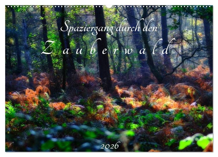 Produktbild: Spaziergang durch den Zauberwald (Wandkalender 2026 DIN A2 quer), CALVENDO Monatskalender