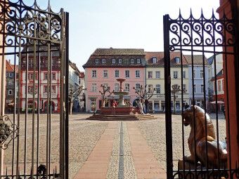 Produktbild: CALVENDO Puzzle Blick &uuml;ber den Marktplatz in Neustadt an der Weinstra&szlig;e | 1000 Teile Lege-Gr&ouml;&szlig;e 64x48cm Foto-Puzzle f&uuml;r gl&uuml;ckliche Stunden