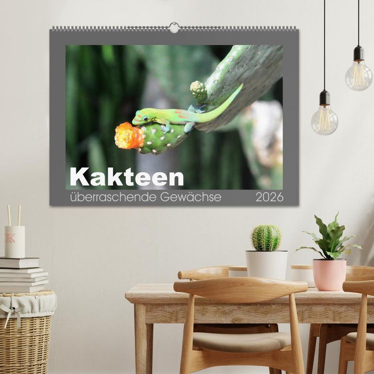 Produktbild: Kakteen - &uuml;berraschende Gew&auml;chse (Wandkalender 2026 DIN A2 quer), CALVENDO Monatskalender