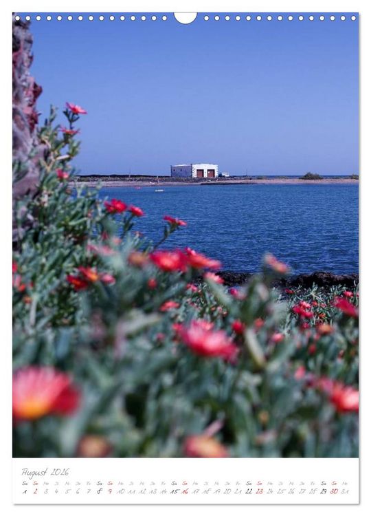 Produktbild: Fuerteventura, wilde Sch&ouml;nheit im Atlantik (Wandkalender 2026 DIN A3 hoch), CALVENDO Monatskalender