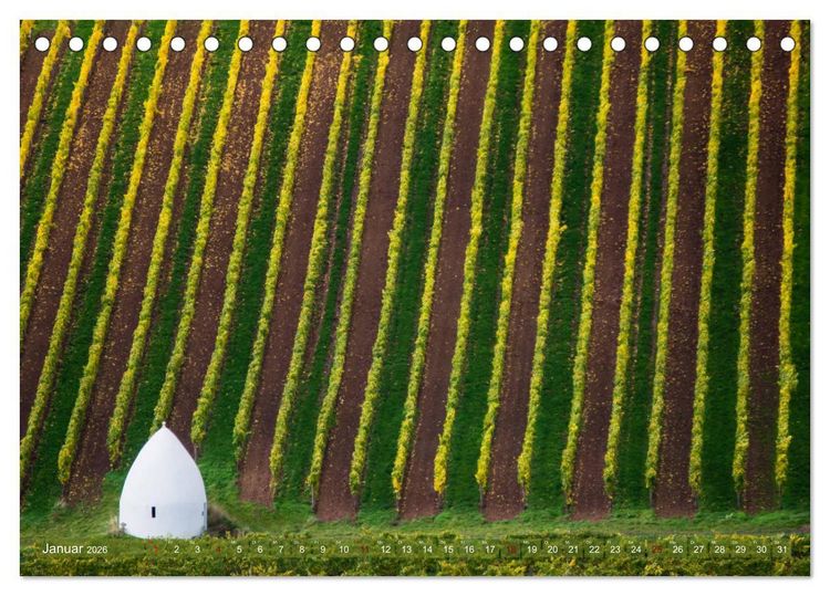 Produktbild: Wein - Landschaften (Tischkalender 2026 DIN A5 quer), CALVENDO Monatskalender