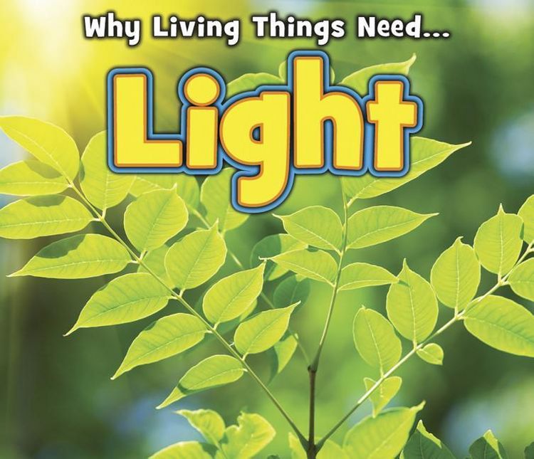 Produktbild: Nunn, D: Light